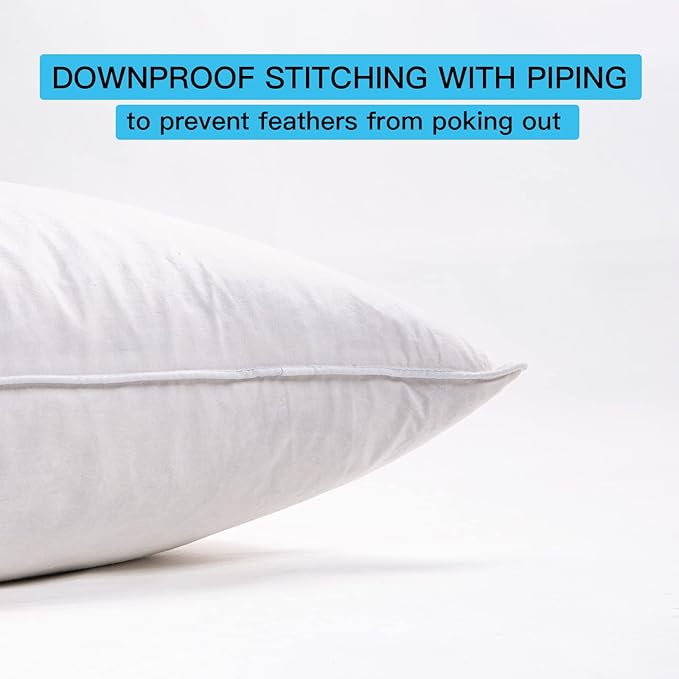 12"x20" Pillow Inserts Soft Feather Pillow Set of 1 Indoor Decorative Sofa Down Pillows Bed Pillows Couch Pillow