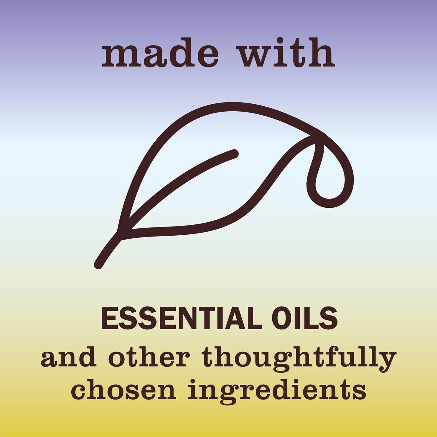 Mrs. MEYER'S CLEAN DAY Liquid Dish Soap, Biodegradable Formula, Compassion Flower, 16 fl. oz - Pack of 3