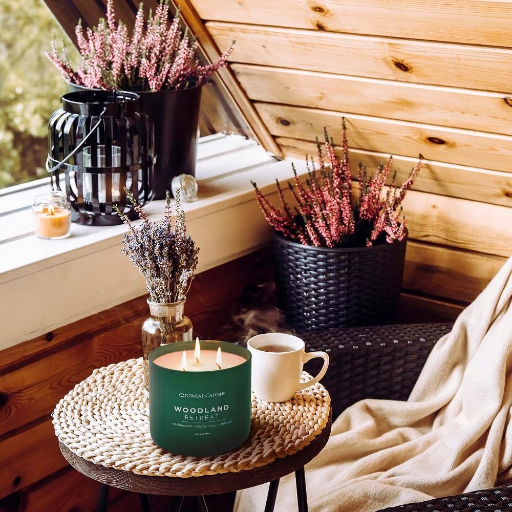 Colonial Candle Woodland Retreat Scented Jar Candle, Pop of Color Collection, 3 Wick, 14.5 oz - Up to 60 Hours Burn