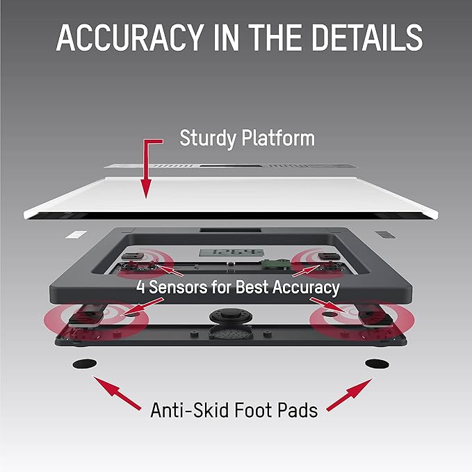 Taylor Digital Bathroom Talking Scale, 5 Languages, Scales Body Weight, White Scale Clear Glass Stainless Steel Accents, 440LB Capacity, Clear Stainless Steel Accents (5294756)
