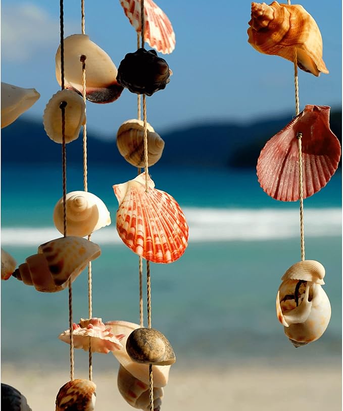 JQAQJU Sea Shells Mixed Beach Seashells 20 Kinds, 1.5"-5.5" Various Sizes Large Ocean Shells Conch 2 Kinds Natural Starfish for Decorating Beach Theme Party Fish Tank Filling Home Decor Wedding