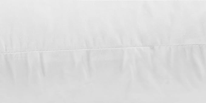JA COMFORTS 20×20 Premium Goose Down Feather Throw Pillow Inserts(Set of 2)-5% Down Filling,High Filling Weight,250 TC Cotton Cover, Square, White