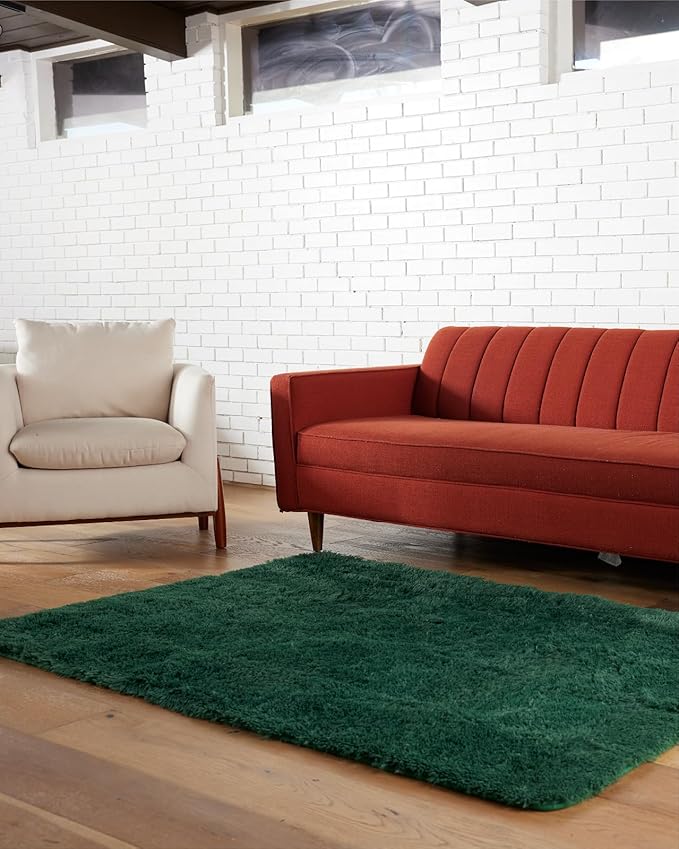 Ophanie Upgrade 4x6 Dark Green Rugs for Bedroom, Fluffy Soft Area Rug, Shaggy Non-Slip Indoor Floor Carpet for Living Room, Kids Baby Boys Teen Dorm Home Decor Aesthetic, Nursery