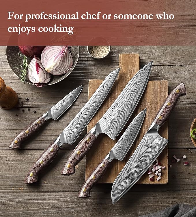 HEZHEN Damascus Chef Knife Set, 67 Layers Damascus Steel, 5PCS, Ultra Sharp, Professional Kitchen Knife Set for Chefs and Home Cooking, Ergonomic Micarta Handle, Gift Packing