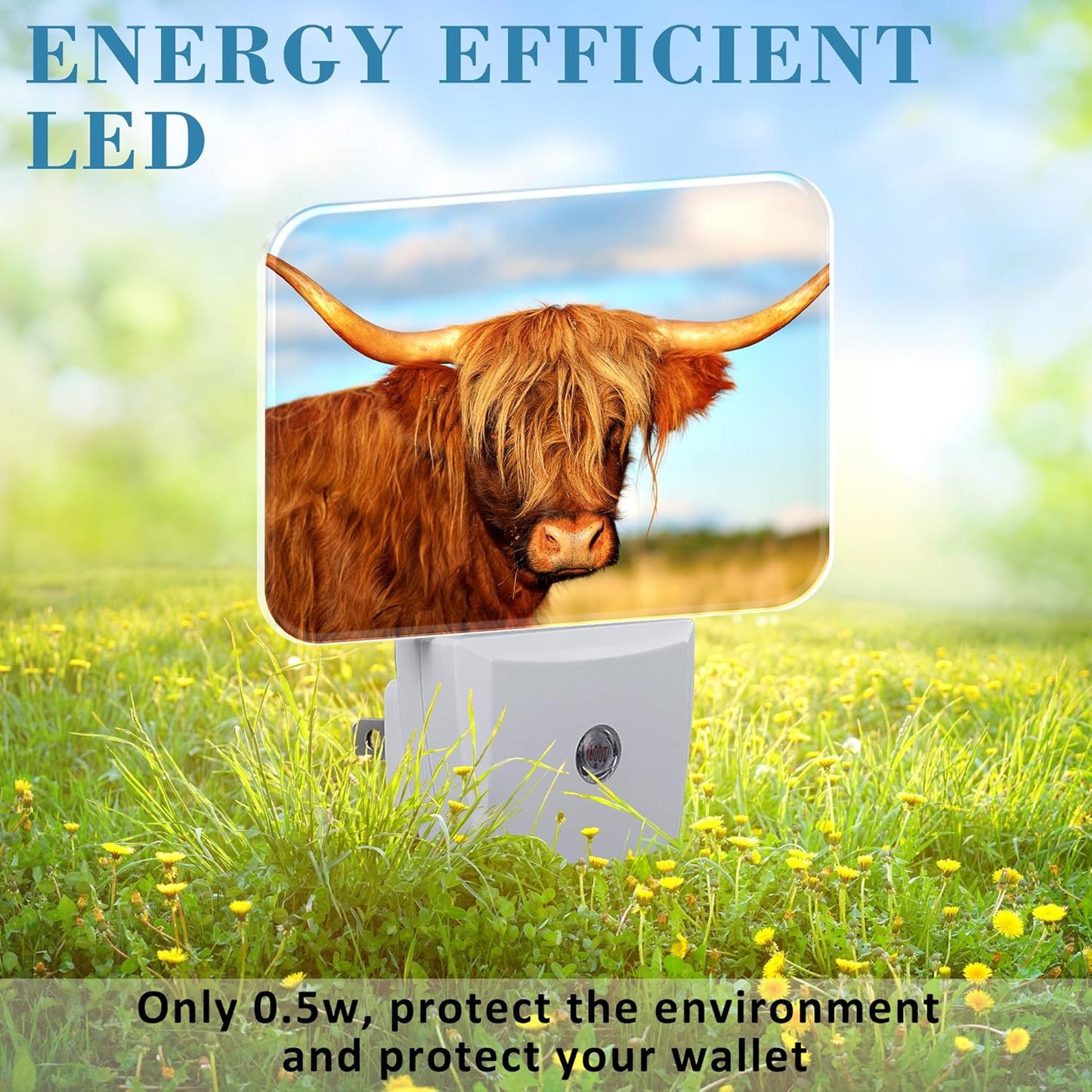 Highland Cow in Field Night Light Plug into Wall, Cool Highland Cow Night Light with Dusk to Dawn Sensor for Kid Girls Boys Women Men Bedroom, Hallway, Kitchen, Bathroom, Stairs Decor