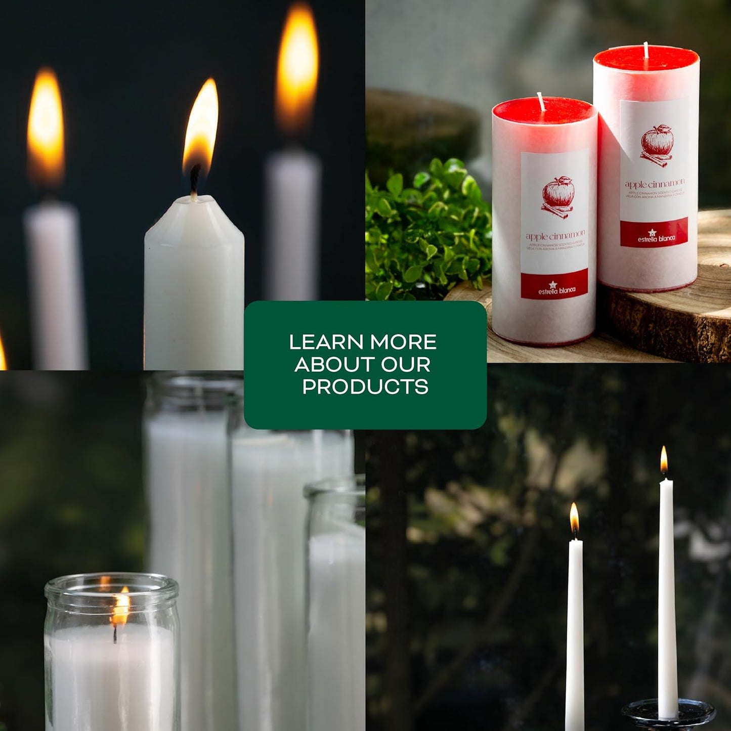 Forest Pine Candle – 14.5oz Soy Wax Scented Jar Candle with Long-Lasting Burn, Fresh Woodsy Aroma for Home, Office & Everyday Relaxation