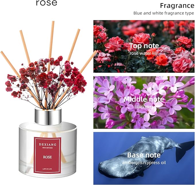 3.38 oz (100ml) 2pcs,Eucalyptus/Lemon Verbena Scented Reed Diffuser Set,Reed Diffuser & 12pcs Reed Diffuser Sticks,Home & Kitchen| Home & Bathroom Decor,Fragrance and Gifts