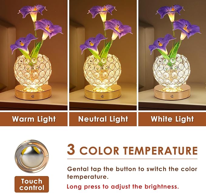 Morning Glory Flower Lamp, Rechargeable Cordless Touch Table Lamp, 3 Color Dimmable LED Night Light, Bedroom Bedside Touch Nightstand Lamp Artificial Flowers Housewamring, Gifts for Women Mom
