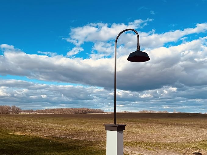 Steel Lighting Co. Redondo Barn Light | Outdoor Wall Mounted | 20 inch Dome | 23 inch Gooseneck | Large Farmhouse Warehouse Light Made in America | Dark Bronze Exterior/Dark Bronze Interior