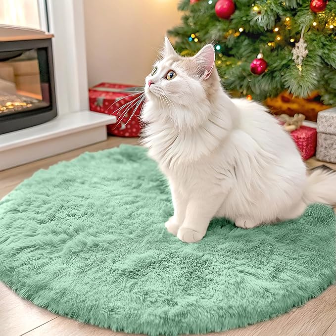 OLANLY Mint Green Round Rugs for Bedroom - Machine Washable, 2 ft Circle Area Rugs for Living Room, Soft and Fluffy Shaggy Carpet for Teen Girls and Boys, Nursery Rooms, Dorms, Home Decor Aesthetic
