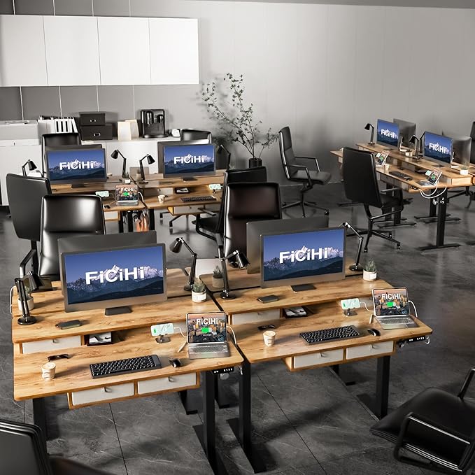 Adjustable Height Standing Desk with 4 Drawers,48 x 30 inches Electric Sit Stand Desk for Home Office,3 Memory Presets,Monitor Stand Riser,USB A/C Charging Port