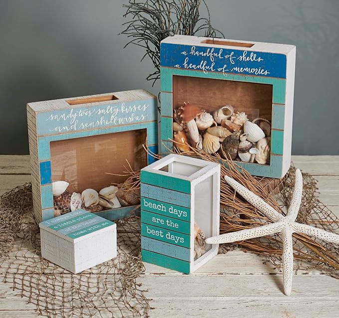 Primitives by Kathy Seashell Holder - Coastal Decor, Glass Display, Treasure Chest, Room and Bedroom Decor