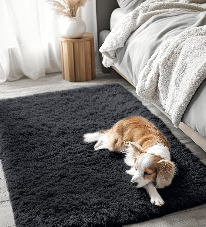 OLANLY 3x5 Machine Washable Small Bedside Rug, Soft Fluffy Shaggy Rugs for Living Room, Bedroom, Indoor Floor Carpet for Kids Girls and Boys, Preppy Dorms, Nursery, Home Decor Aesthetic, Black