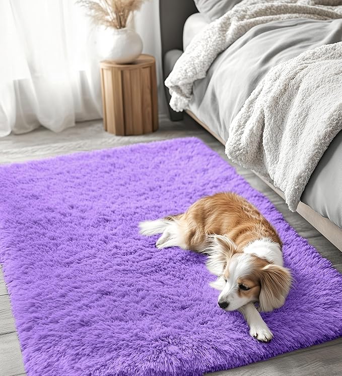 OLANLY 3x5 Machine Washable Small Bedside Rug, Soft Fluffy Shaggy Rugs for Living Room, Bedroom, Indoor Floor Carpet for Kids Girls and Boys, Preppy Dorms, Nursery, Home Decor Aesthetic, Purple