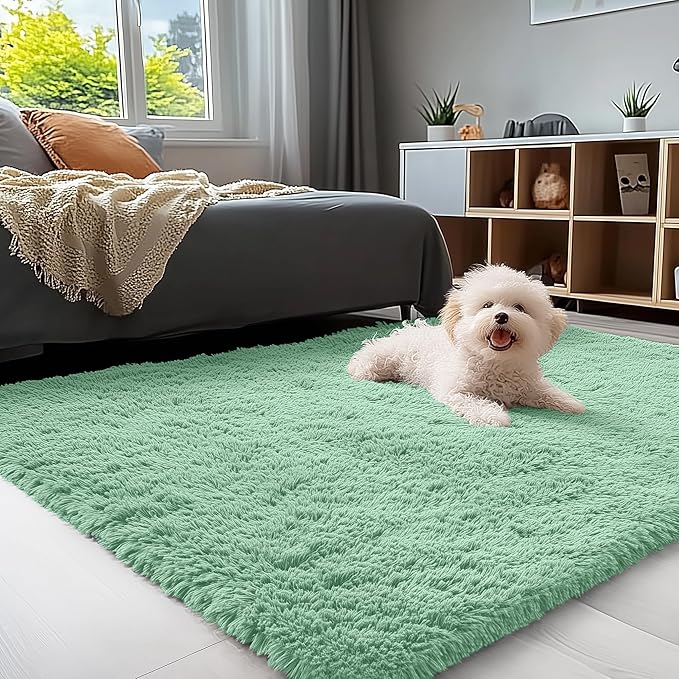 OLANLY 3x5 Machine Washable Small Bedside Rug, Soft Fluffy Shaggy Rugs for Living Room, Bedroom, Indoor Floor Carpet for Kids Girls and Boys, Preppy Dorms, Nursery, Home Decor Aesthetic, Mint Green