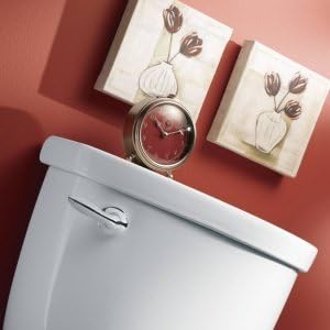 Moen YB2801BN Eva Toilet Tank Lever, Brushed Nickel