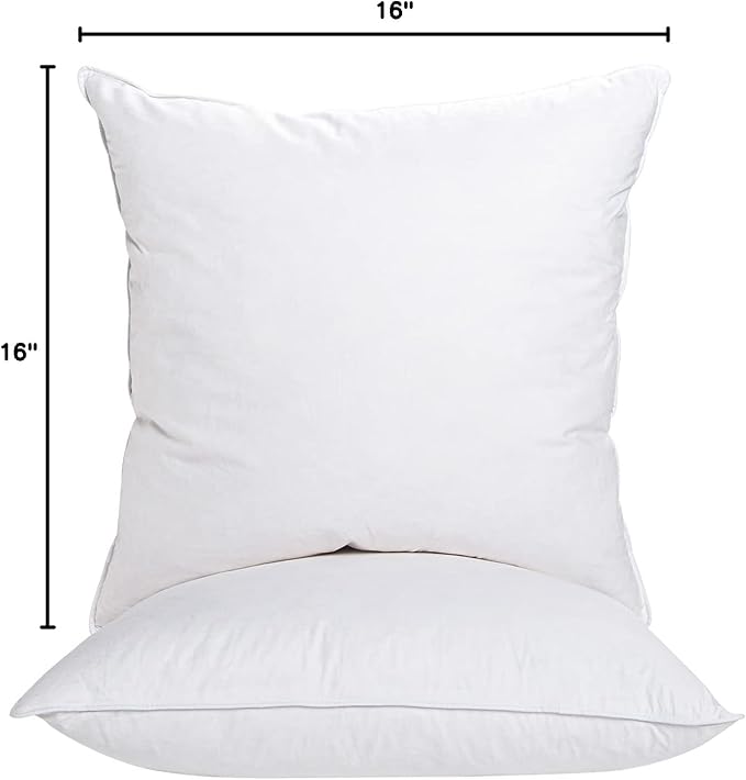 16"x16" Pillow Inserts Soft Feather Pillow Set of 2 Indoor Decorative Sofa Down Pillows Bed Pillows Couch Pillow
