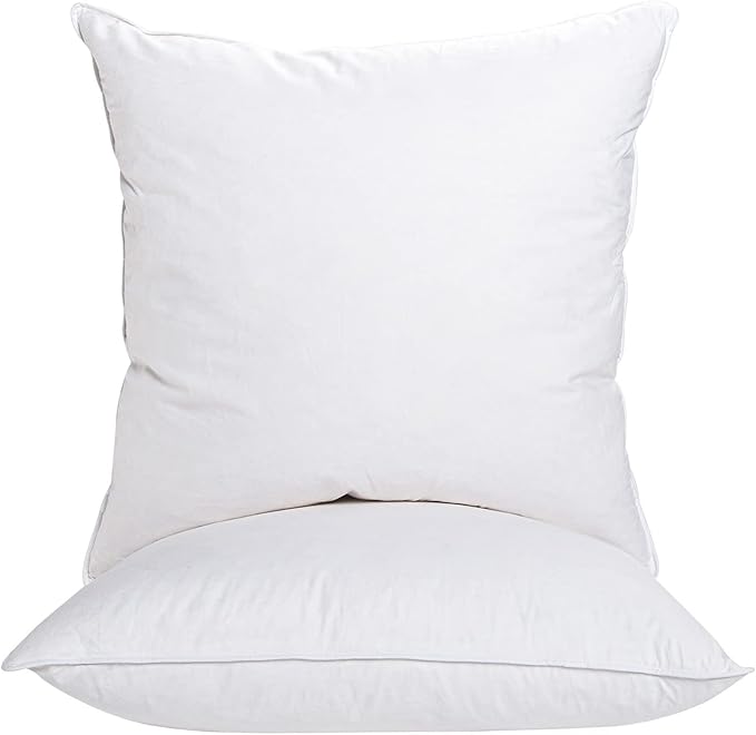 16"x16" Pillow Inserts Soft Feather Pillow Set of 2 Indoor Decorative Sofa Down Pillows Bed Pillows Couch Pillow