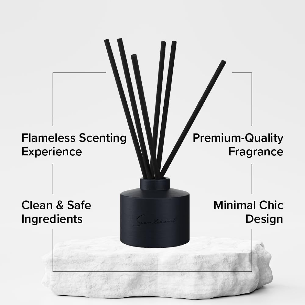 Day Dream Reed Diffuser - Black Ceramic | 100ml | Long-Lasting Home Fragrance | Includes Reed Sticks & 120ml Day Dream Reed Diffuser Oil