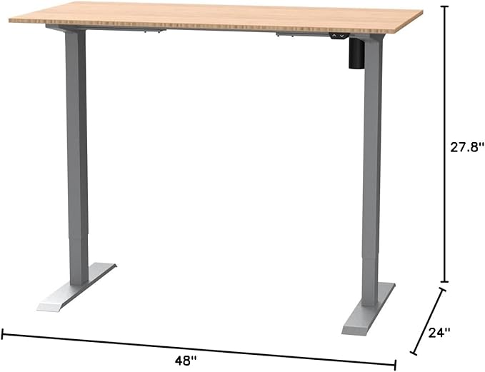 FLEXISPOT EN1 Bamboo Standing Desk, 48 x 24 Inches Whole-Piece Electric Height Adjustable Desk, Home Office Table Stand up Desk (Silver Frame + Bamboo Top, 2 Packages)
