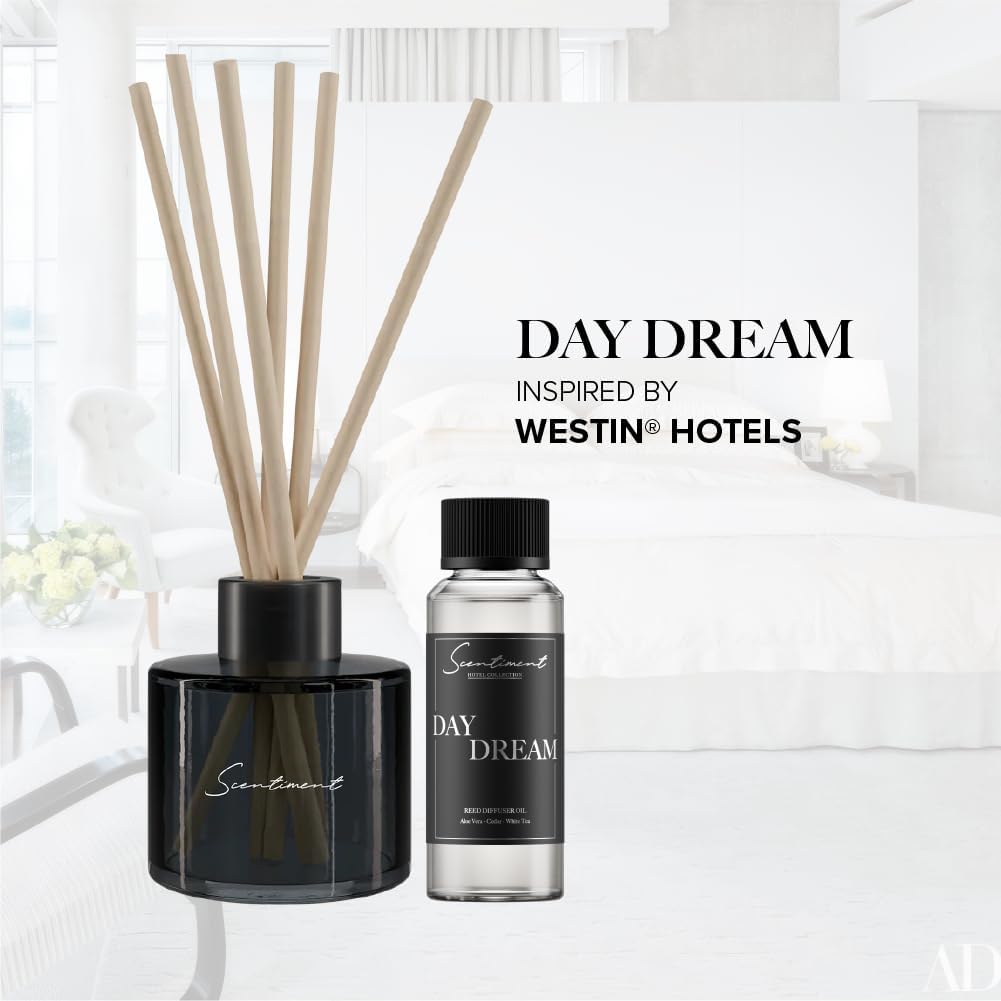Day Dream Reed Diffuser - Black Glass | 100ml | Long-Lasting Home Fragrance | Includes Reed Sticks & 120ml Day Dream Reed Diffuser Oil