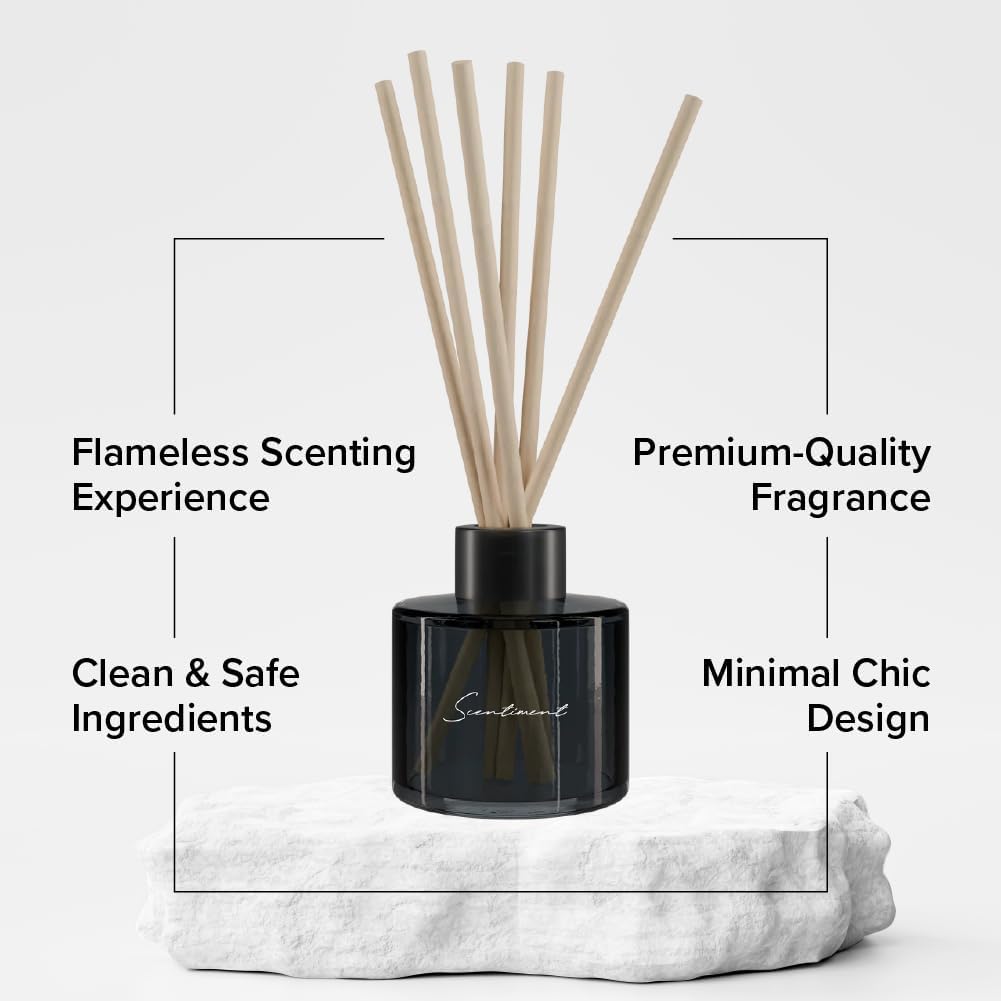 Day Dream Reed Diffuser - Black Glass | 100ml | Long-Lasting Home Fragrance | Includes Reed Sticks & 120ml Day Dream Reed Diffuser Oil