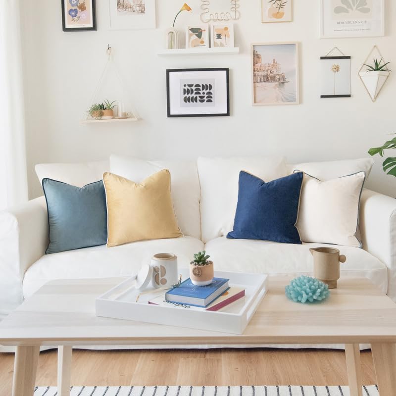 MONDAY MOOSE Decorative Throw Pillow Covers Cushion Cases, Set of 4 Soft Velvet Modern Double-Sided Designs, Mix and Match for Home Decor, Pillow Inserts Not Included (16x16 inch, Blue/Beige)