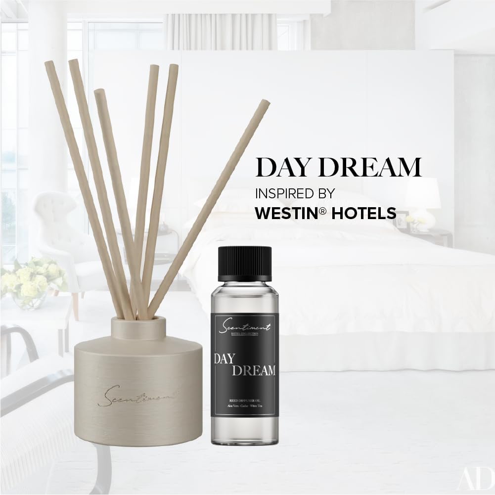 Day Dream Reed Diffuser - Beige Ceramic | 100ml | Long-Lasting Home Fragrance | Includes Reed Sticks & 120ml Day Dream Reed Diffuser Oil
