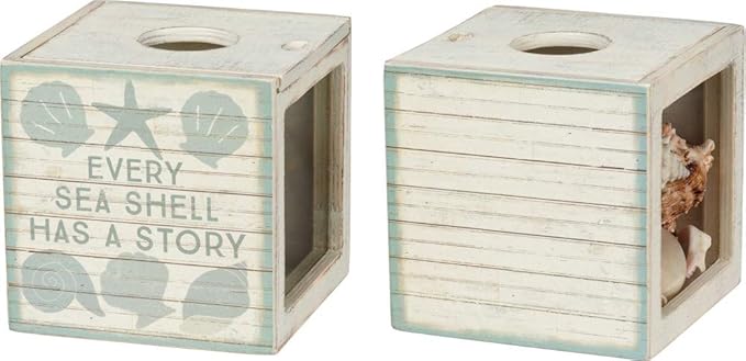 Primitives by Kathy Seashell Holder - Coastal Decor, Glass Display, Treasure Chest, Room and Bedroom Decor