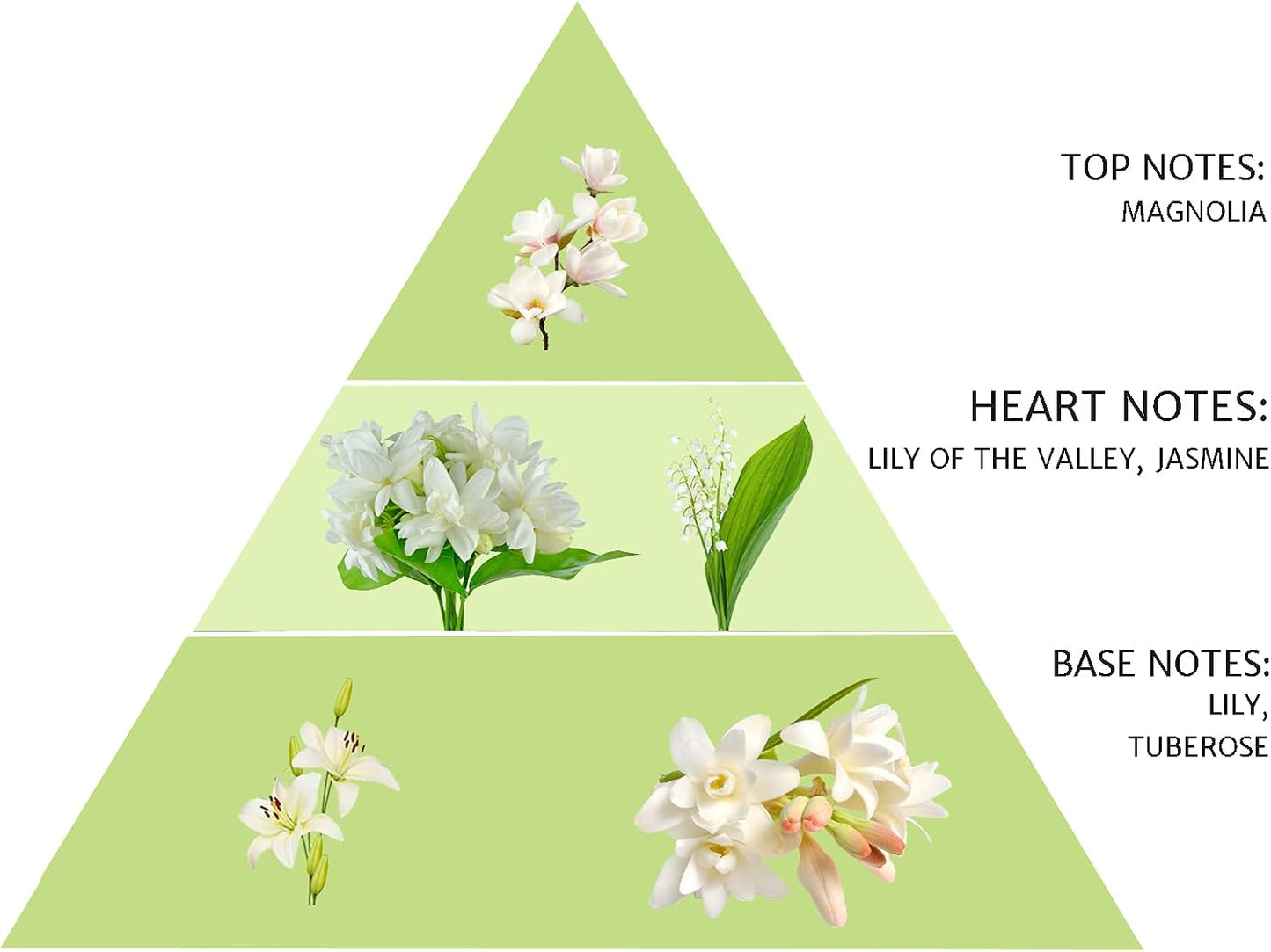 SPRING Fragrance Reed Diffuser Set | Fragrance Made in France | Home Décor | Scented Aromatic Oil | Room Air Freshener White Flower | 3.4 oz (100ml) | Lily, Jasmine, Lily of The Valley and Tuberose