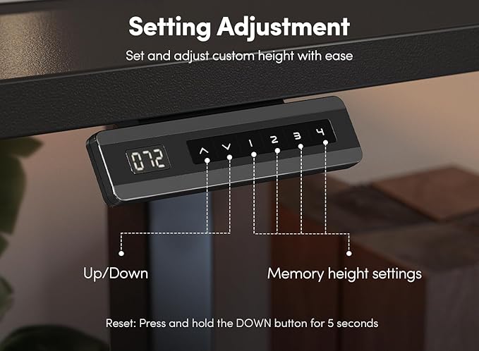 FEZIBO 48 x 24 Inch Height Adjustable Electric Standing Desk with Double Drawer, Computer Desk, Home Office Stand Up Table with 4 Height-Adjustable Feets & 2 Hooks, Black