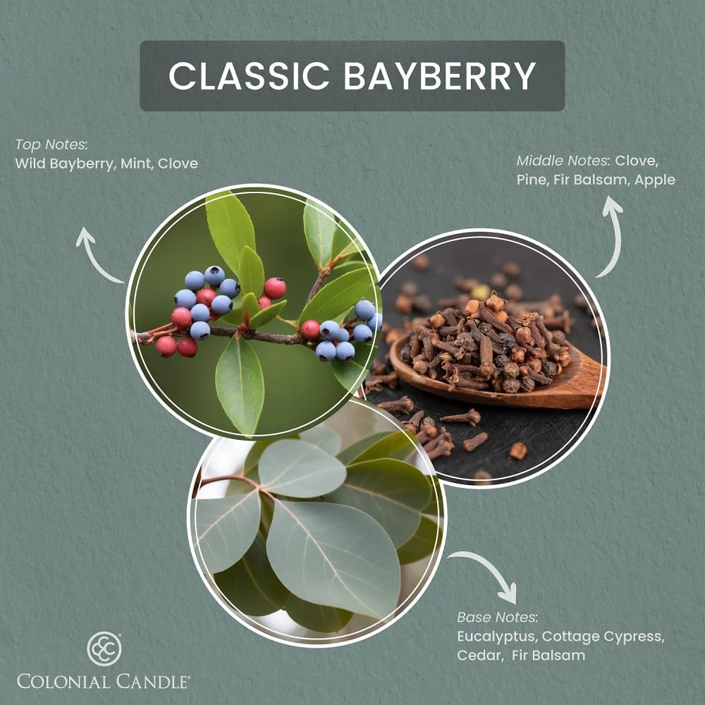 Colonial Candle Bayberry Scented Wax Melts, Wax Melt Warmer Cubes, Long Lasting Scented Wax Warmer Cubes, 4 Pack, 6 Cubes Each - Made in The USA