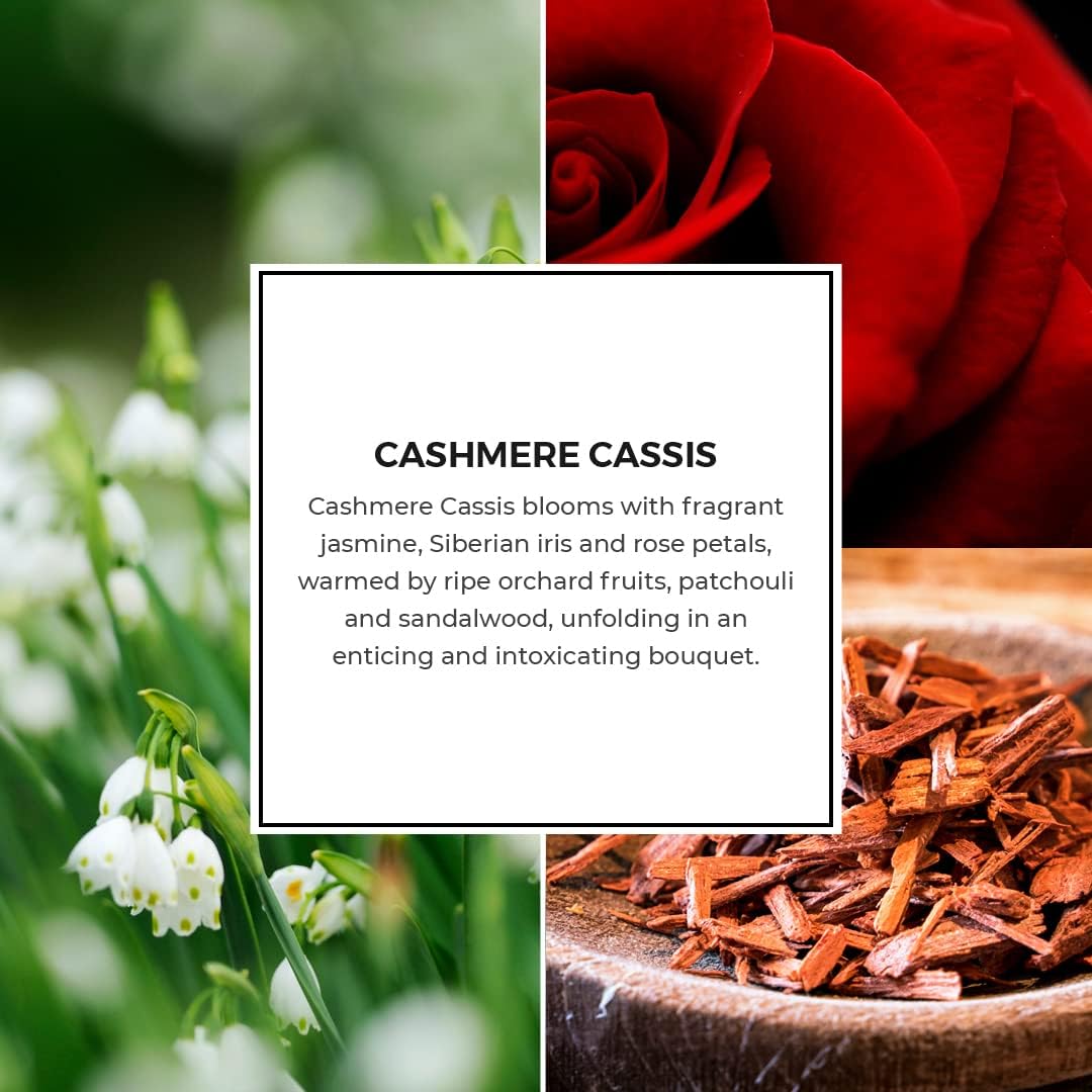 PartyLite After Dark™ Cashmere Cassis Scent Plus® Wax Melts - Lasts Up to 60 Hours - Alluring Jasmine, Iris & Rose Petals with Ripe Orchard Fruits, Patchouli & Sandalwood