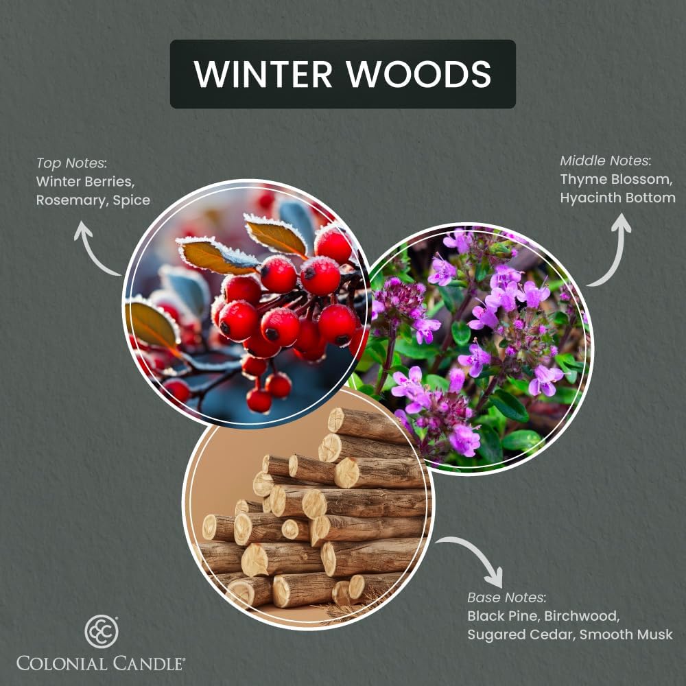 Colonial Candle Winter Woods Scented Jar Candle, Pop of Color Collection, 3 Wick, Green, 14.5 oz - Up to 60 Hours Burn