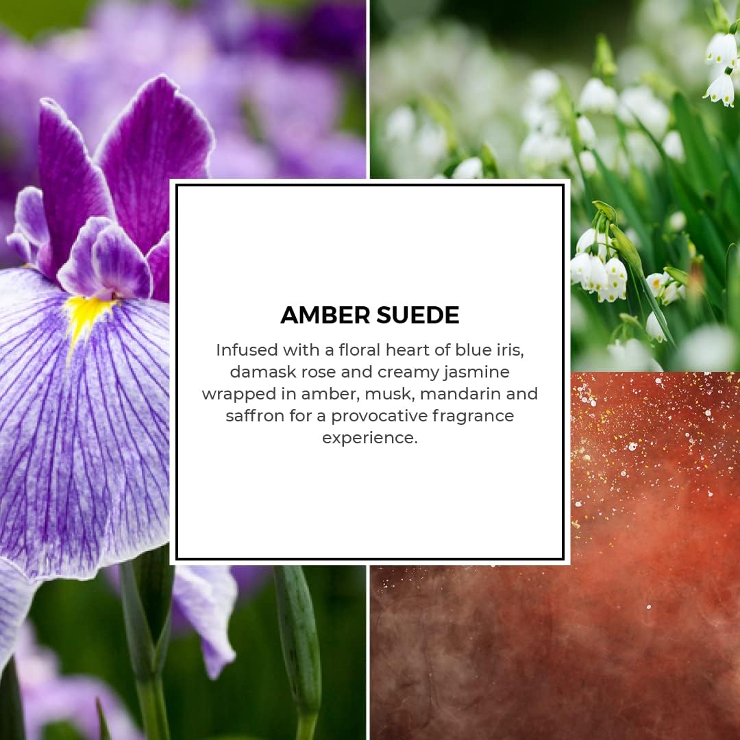 PartyLite After Dark™ Amber Suede Scent Plus® Wax Melts | Up to 60 Hours of Sensuous Fragrance | Floral & Amber Blend | No Flame Needed