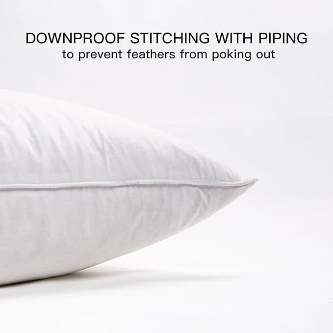12"x20" Pillow Inserts Soft Feather Pillow Set of 2 Indoor Decorative Sofa Down Pillows Bed Pillows Couch Pillow