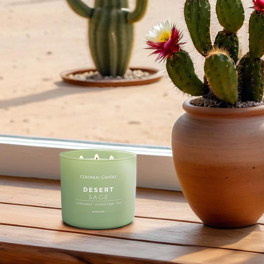 Colonial Candle Desert Sage Scented Jar Candle, Pop of Color Collection, 3 Wick, 14.5 oz - Up to 60 Hours Burn