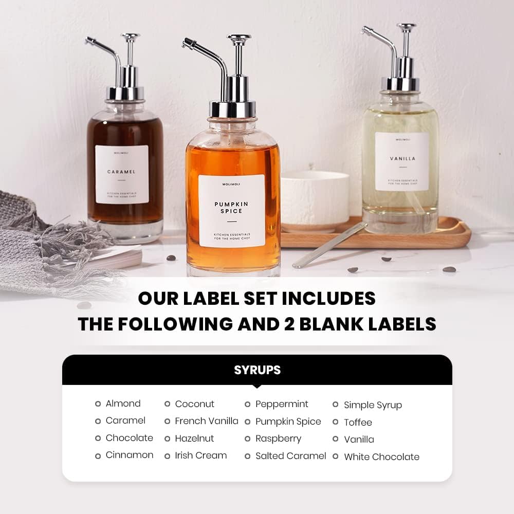 Molimoli Coffee Syrup Dispenser for Coffee Bar, Pump Dispenser, Glass Syrup Bottle w. Upgraded Pump, 16.9 oz 500 ml, Set of 2, Silver