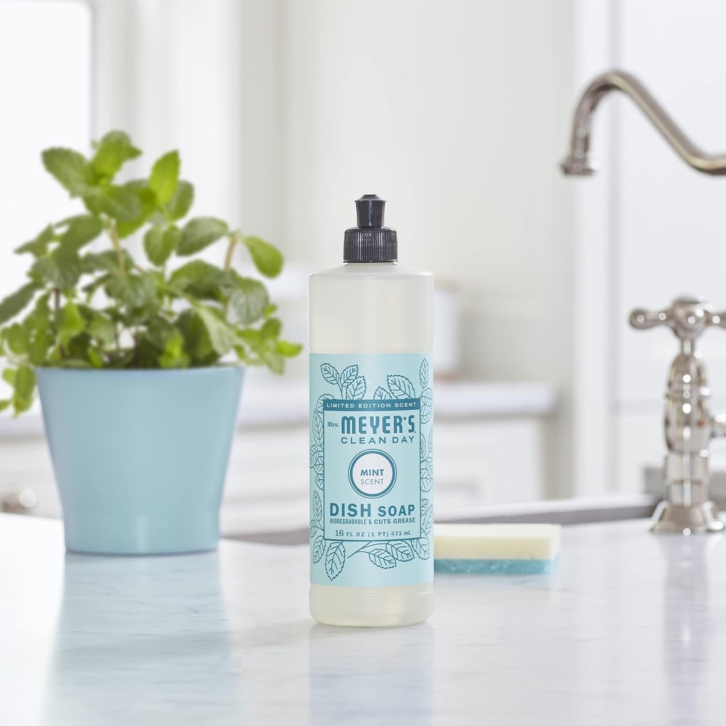 MRS. MEYER'S CLEAN DAY Liquid Dish Soap, Biodegradable Formula, Limited Edition Mint, 16 fl. oz - Pack of 3