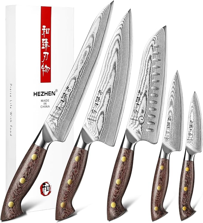 HEZHEN Damascus Chef Knife Set, 67 Layers Damascus Steel, 5PCS, Ultra Sharp, Professional Kitchen Knife Set for Chefs and Home Cooking, Ergonomic Micarta Handle, Gift Packing