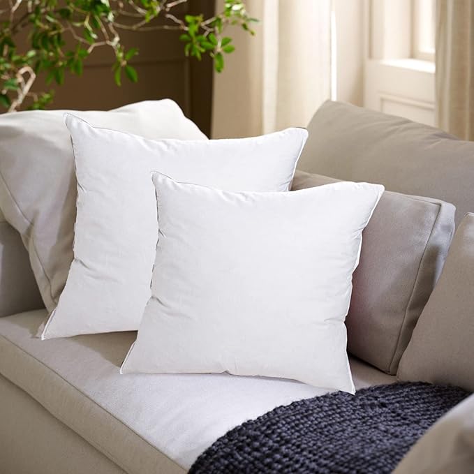12"x20" Pillow Inserts Soft Feather Pillow Set of 1 Indoor Decorative Sofa Down Pillows Bed Pillows Couch Pillow