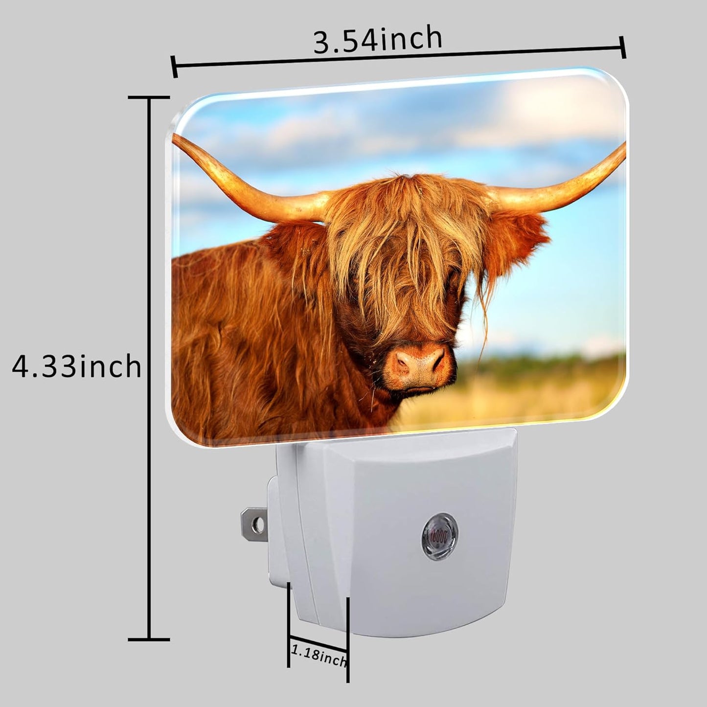 Highland Cow in Field Night Light Plug into Wall, Cool Highland Cow Night Light with Dusk to Dawn Sensor for Kid Girls Boys Women Men Bedroom, Hallway, Kitchen, Bathroom, Stairs Decor