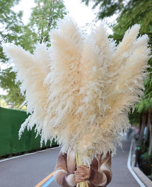 15pcs 40''Dried Pampas Grass Decor Tall-Large pompas Grass-Natural Beige Tall Pampas Grass for Floor Vase,Wedding,Party,Farmhouse,Living Room Floor,Boho Home Decor