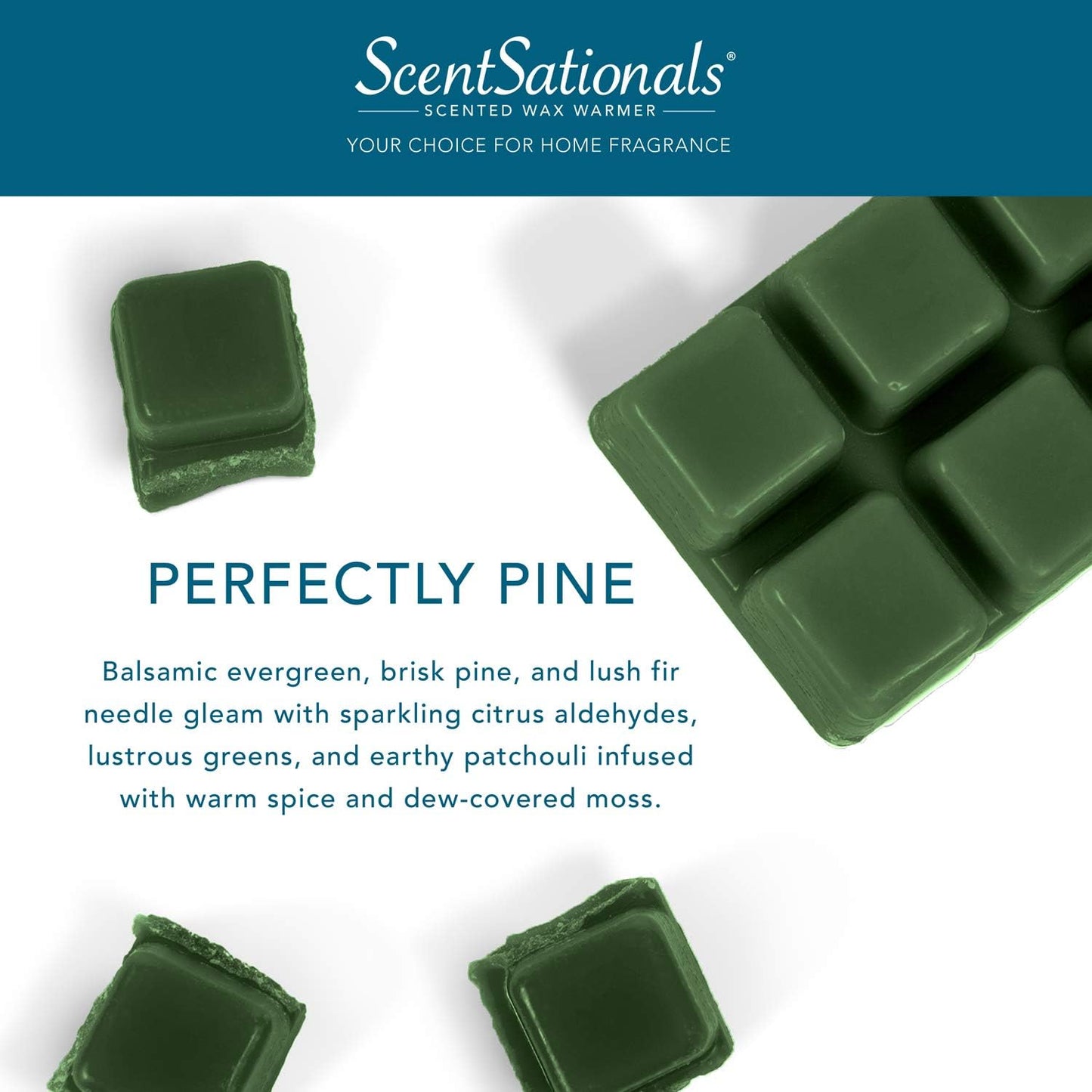Scentsationals Wax Melts - Perfectly Pine Scented Fragrance - Wax Cubes Pack, Air Freshener, 5 oz (12 Cubes Value Pack)