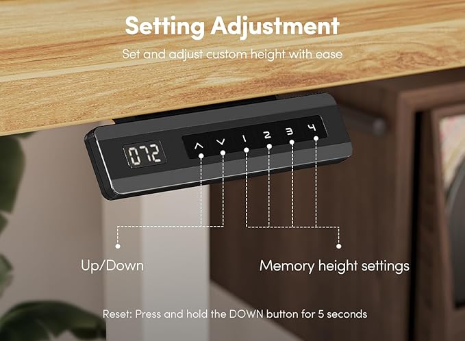 FEZIBO 48 x 24 Inch Height Adjustable Electric Standing Desk with Double Drawer, Computer Desk, Home Office Stand Up Table with 4 Height-Adjustable Feets & 2 Hooks, Light Rustic