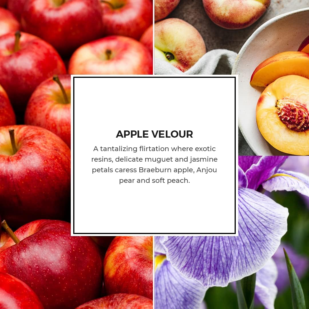 PartyLite After Dark™ Apple Velour Scent Plus® Wax Melts - 60-Hour Long-Lasting Fragrance, Exotic Resins, Apple, Jasmine, Peach Scent