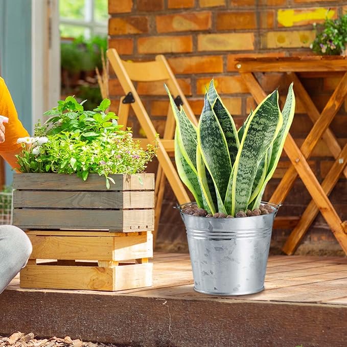 OBTANIM 8 Pack Galvanized Metal Buckets with Handle Ice Pails for Plants, Succulents, Party Favors Organizing, Rustic Home Decor or Classrooms Pencil Storage (7 x 5.1 inch)