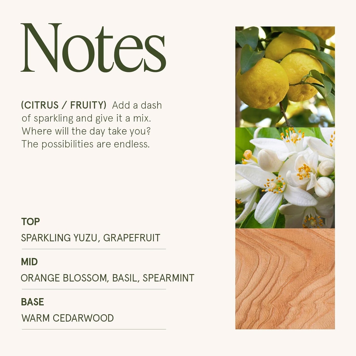 LA JOLIE MUSE Yuzu & Neroli Blossom Candle - Yuzu, Orange Blossom, Cedarwood | 6 oz Natural Soy Wax | 40 Hours Clean Burn | Citrus Scented Candle | Gift-Ready for Hosts & Gatherings