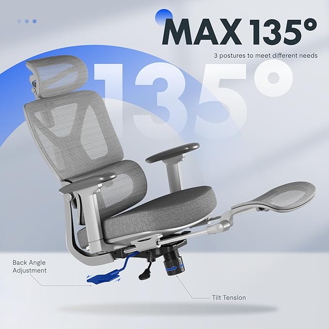 FLEXISPOT ErgoX Premium Ergonomic Office Chair with Footrest- Adjustable 3D Armrests, Dynamic Lumbar Support, Recline & Tilt Function, Mesh Seat, for Home & Office Use,Foam Grey