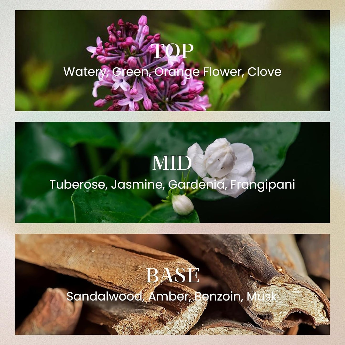 M&SENSE 10.14 oz Large Reed Diffuser Set | Gardenia Scent Oil Diffuser with Sticks |Hotel Collection Non-Toxic Essential Oil |for Bedroom Bathroom Living Room